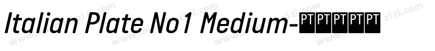 Italian Plate No1 Medium字体转换